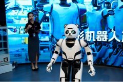 以人形机械人和AI手艺为